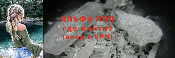 прущие грибы Армянск