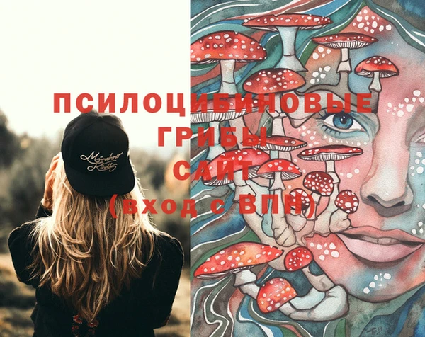 винт Аркадак