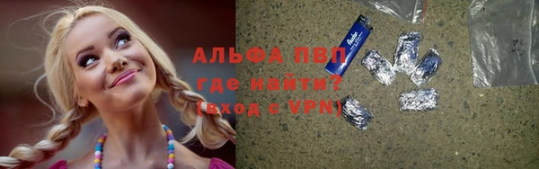 прущие грибы Армянск