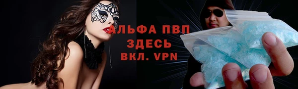 прущие грибы Армянск