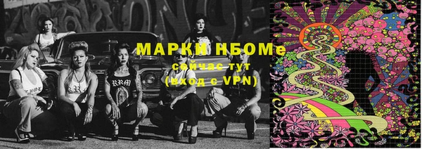 прущие грибы Армянск