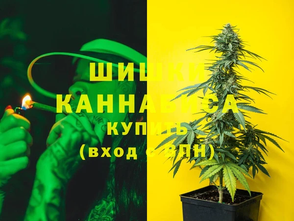 прущие грибы Армянск