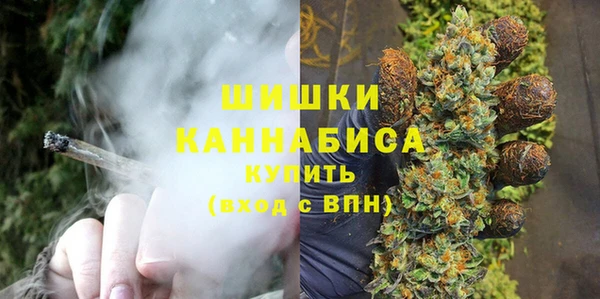 ПСИЛОЦИБИНОВЫЕ ГРИБЫ Арсеньев