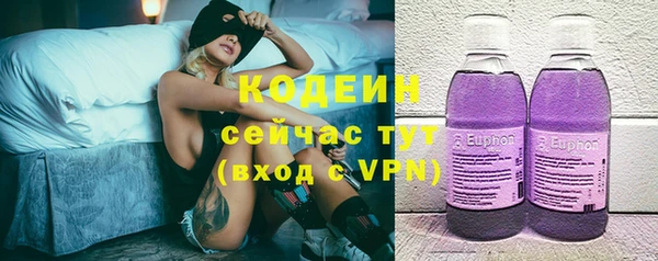 ПСИЛОЦИБИНОВЫЕ ГРИБЫ Арсеньев