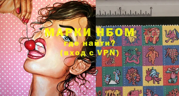 прущие грибы Армянск