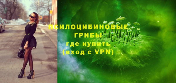 прущие грибы Армянск