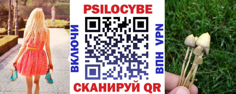 Галлюциногенные грибы Psilocybine cubensis  наркотики  Венёв 